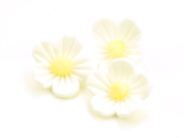 Cake-Masters Flowers 25mm white sugar 16 pieces