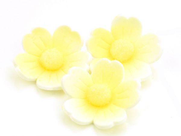 Cake-Masters Blumen 40mm weiß-gelb Zucker 6 Stück