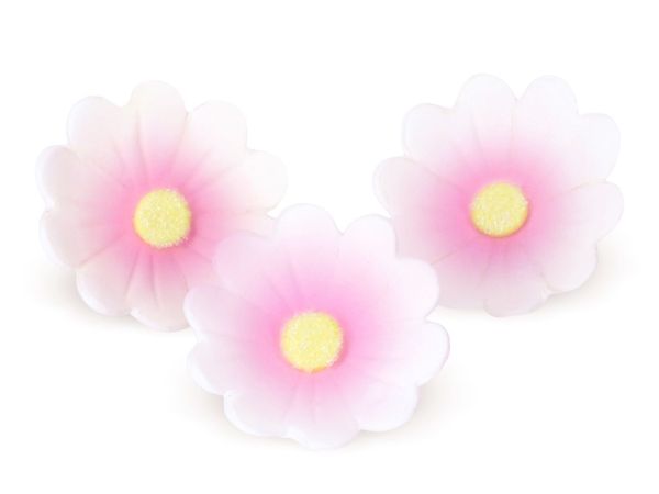 Cake-Masters Blumen 40mm weiß-rosa Zucker 6 Stück