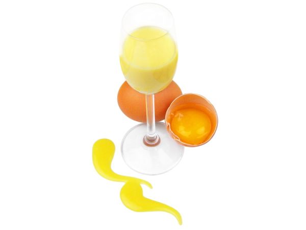 CM Basics Aromapaste Eierlikör 100g