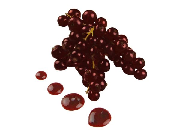 CM Basics Aromapaste Schw. Johannisbeere 100g