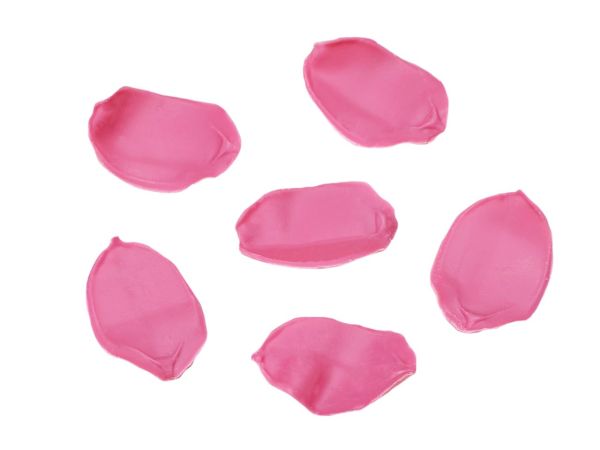 Cake-Masters Schokoladendekor Rosenblütenblätter rosa 20 Stück
