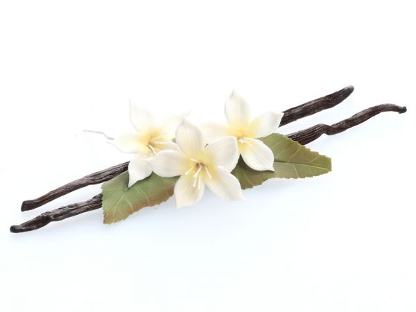 Cake-Masters Vanilla Tahitensis 1 pcs.