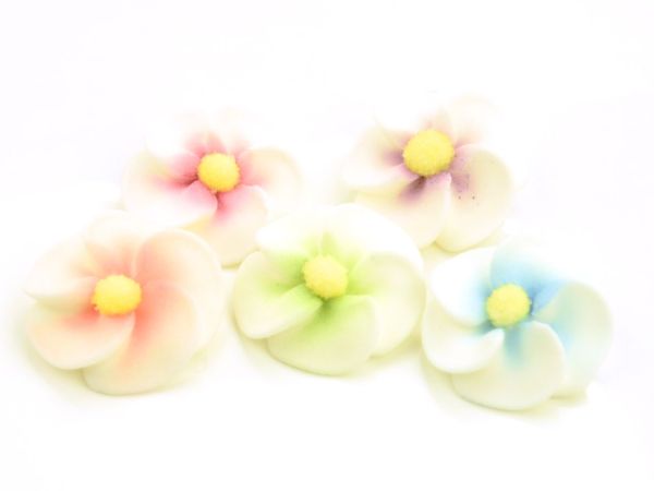 Cake-Masters Apple Blossoms multicoloured sugar 5 pieces