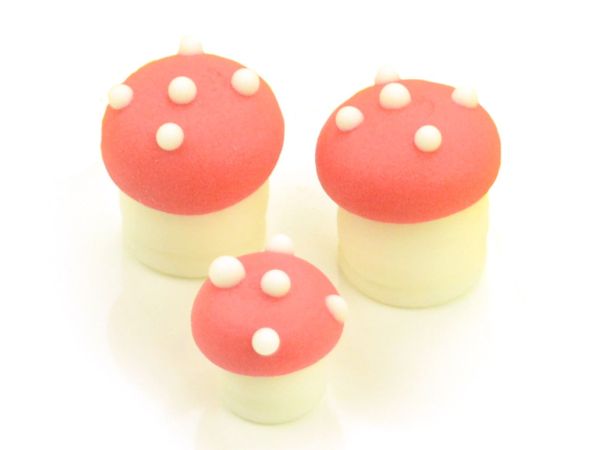 Cake-Masters Lucky mushrooms sugar 10 pieces