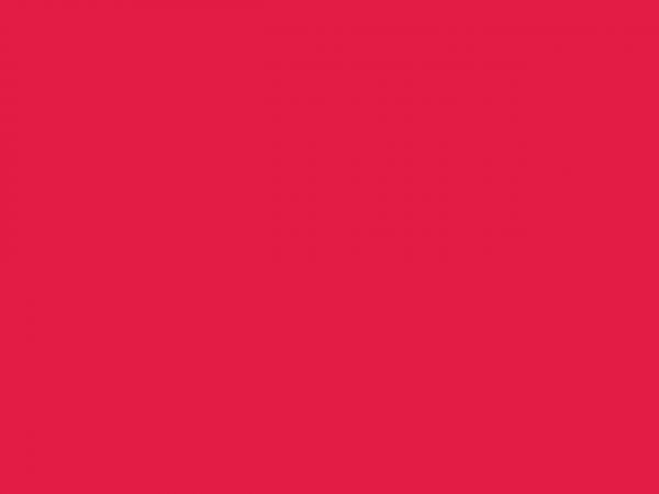Wilton Wilton EU Icing Color - Red Red - 28g