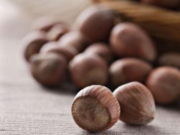 FunCakes Aroma Paste Hazel Nut 100g