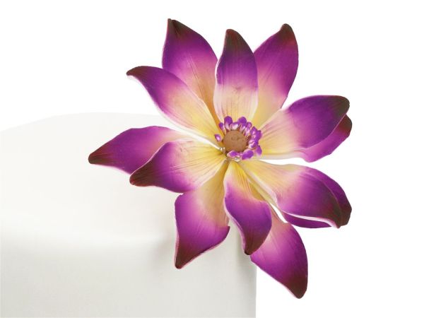 Cake-Masters Fine sugar flower tranquil water lily