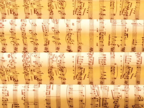 CM Basics Transfer Sheet Musical Notes