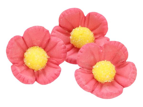 Cake-Masters Flowers 30mm rose sugar 16 pieces