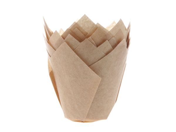 House of Marie Cupcake Tulpen 5cm Kraft 200 Stück