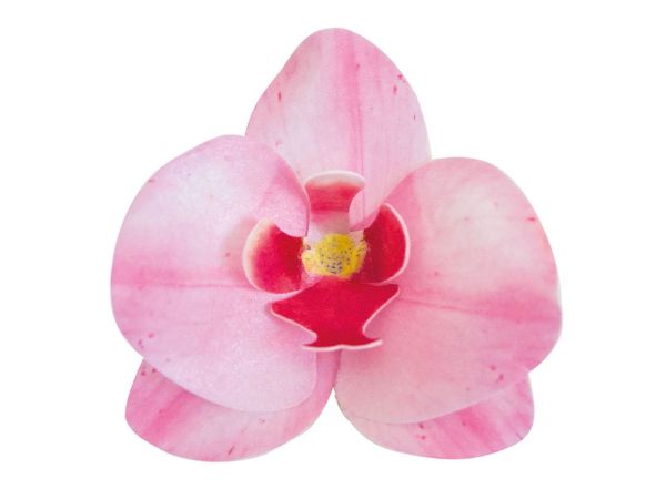 Dekora Wafer-Paper Orchid pink 7.5-8.5cm 10 pieces